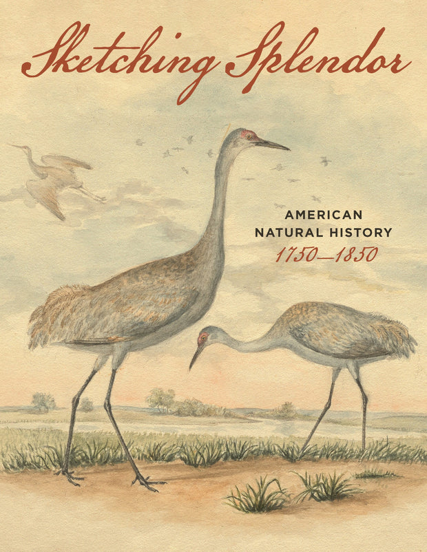Cover image for Sketching Splendor, isbn: 9781606180402