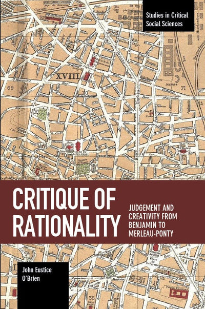 Critique of Rationality