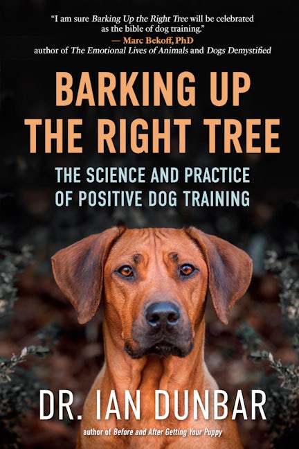 Barking Up the Right Tree