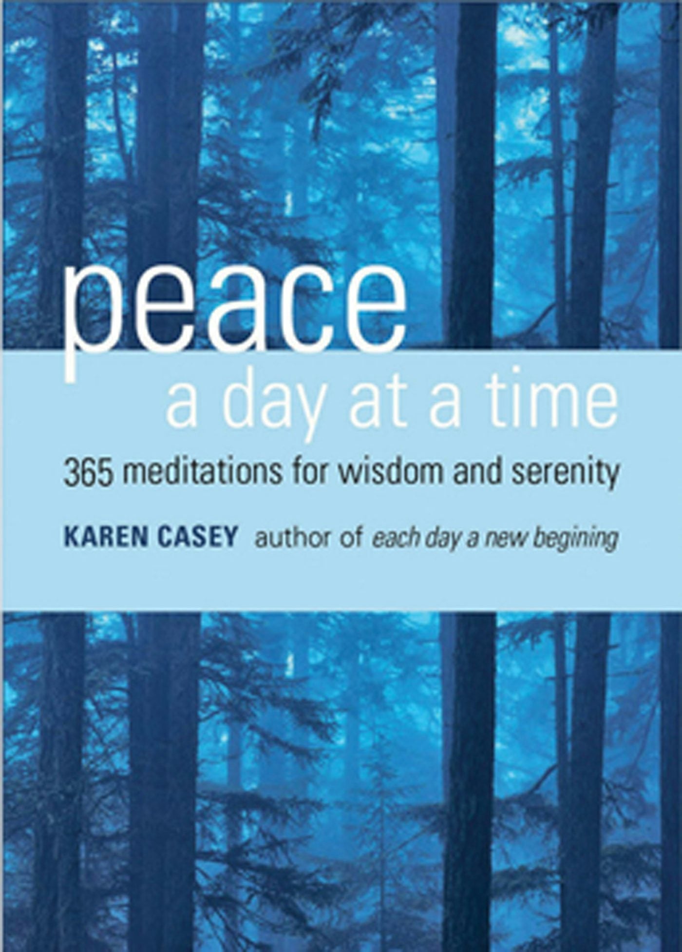 Book cover image for Peace a Day at a Time ISBN: 9781609253714