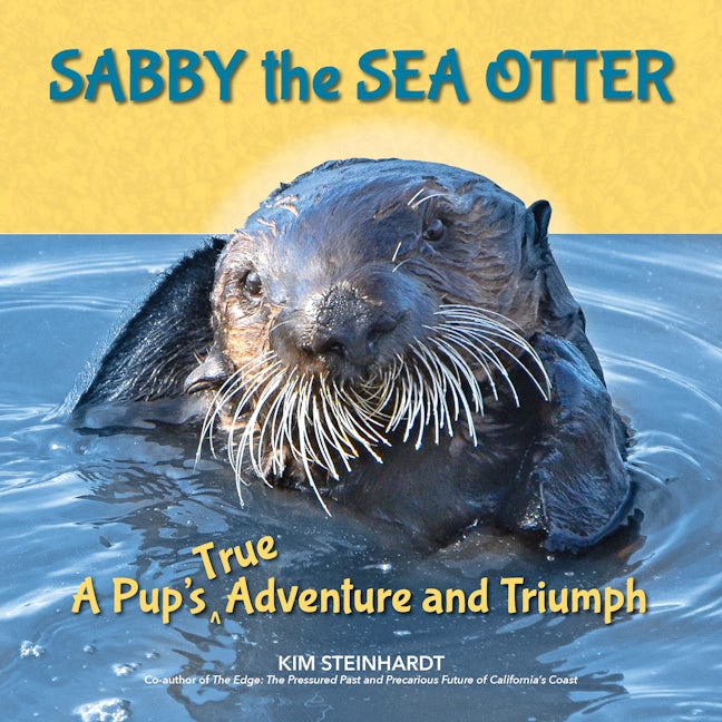 Book cover image for Sabby the Sea Otter ISBN: 9781610353533