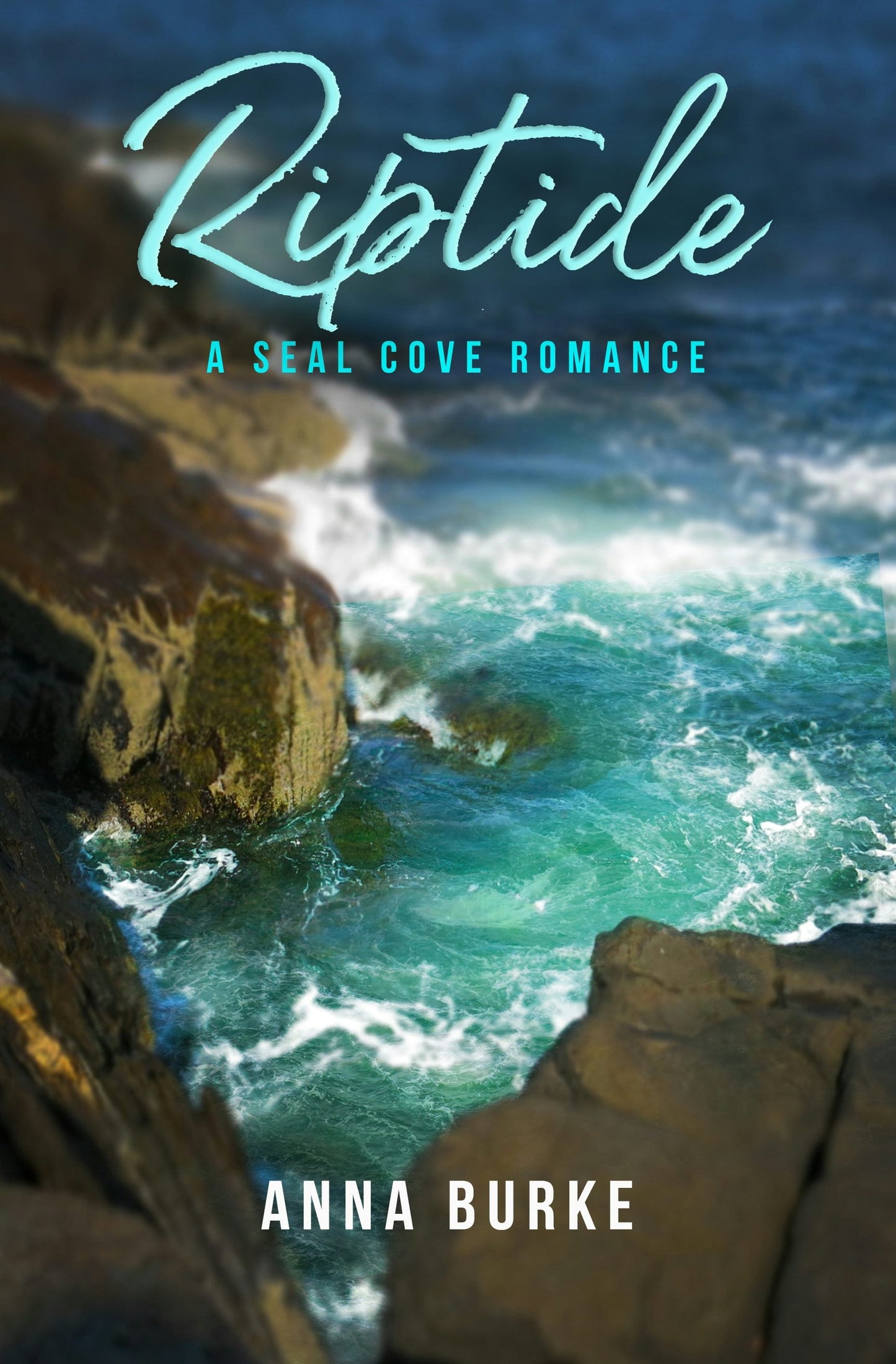Book cover image for Riptide ISBN: 9781612943367