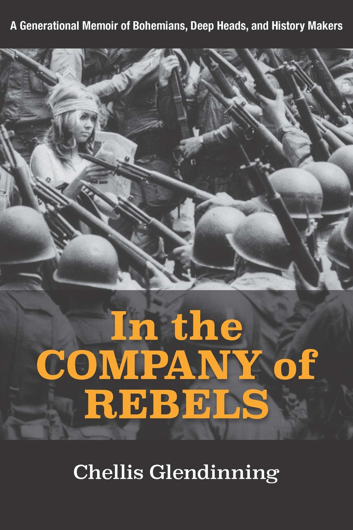 Cover image for In the Company of Rebels ISBN 9781613320969