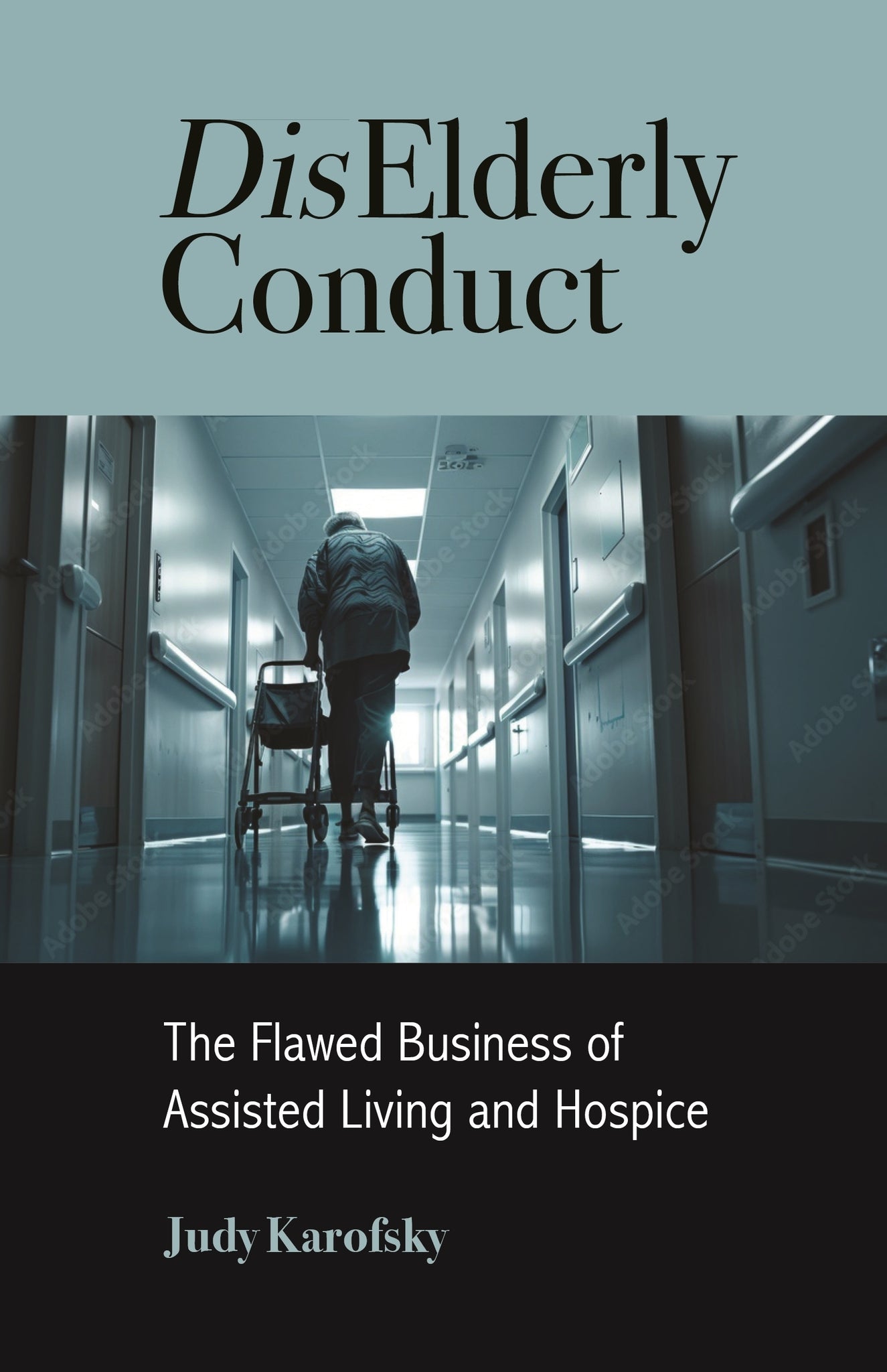 Cover image for DisElderly Conduct ISBN 9781613322680
