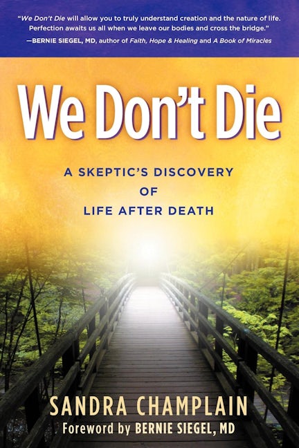 Book cover image for We Don't Die ISBN: 9781614483823