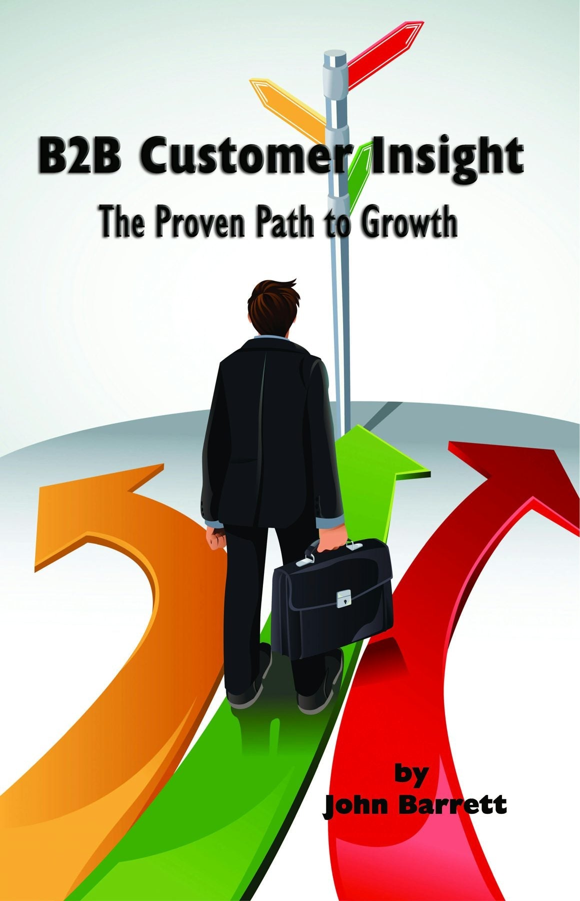 Book cover image for B2B Customer Insight ISBN: 9781617359866