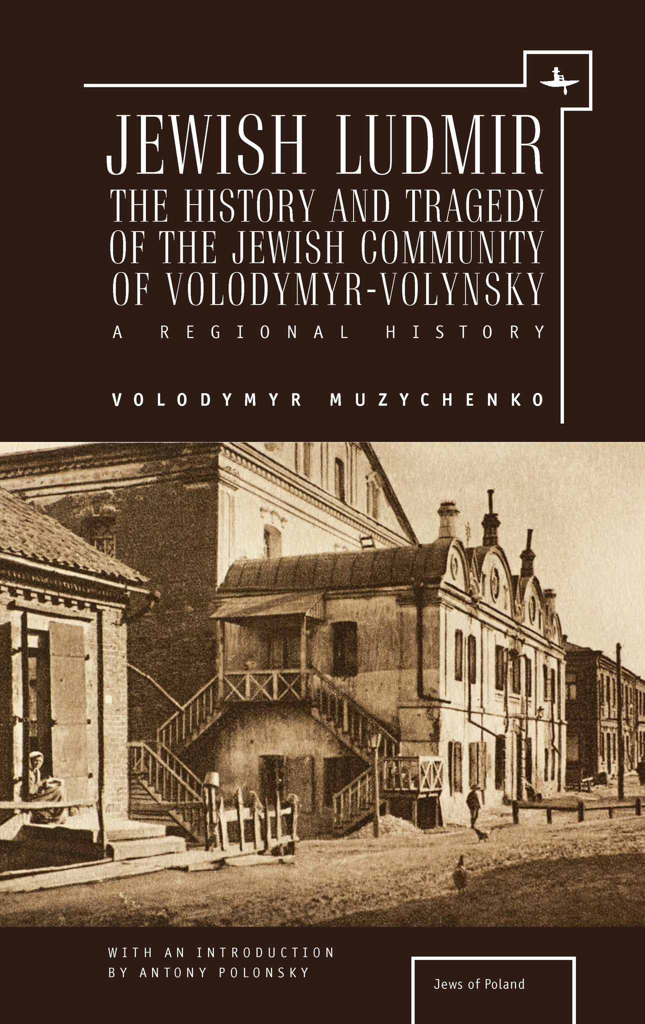 Cover image for Jewish Ludmir ISBN 9781618115188