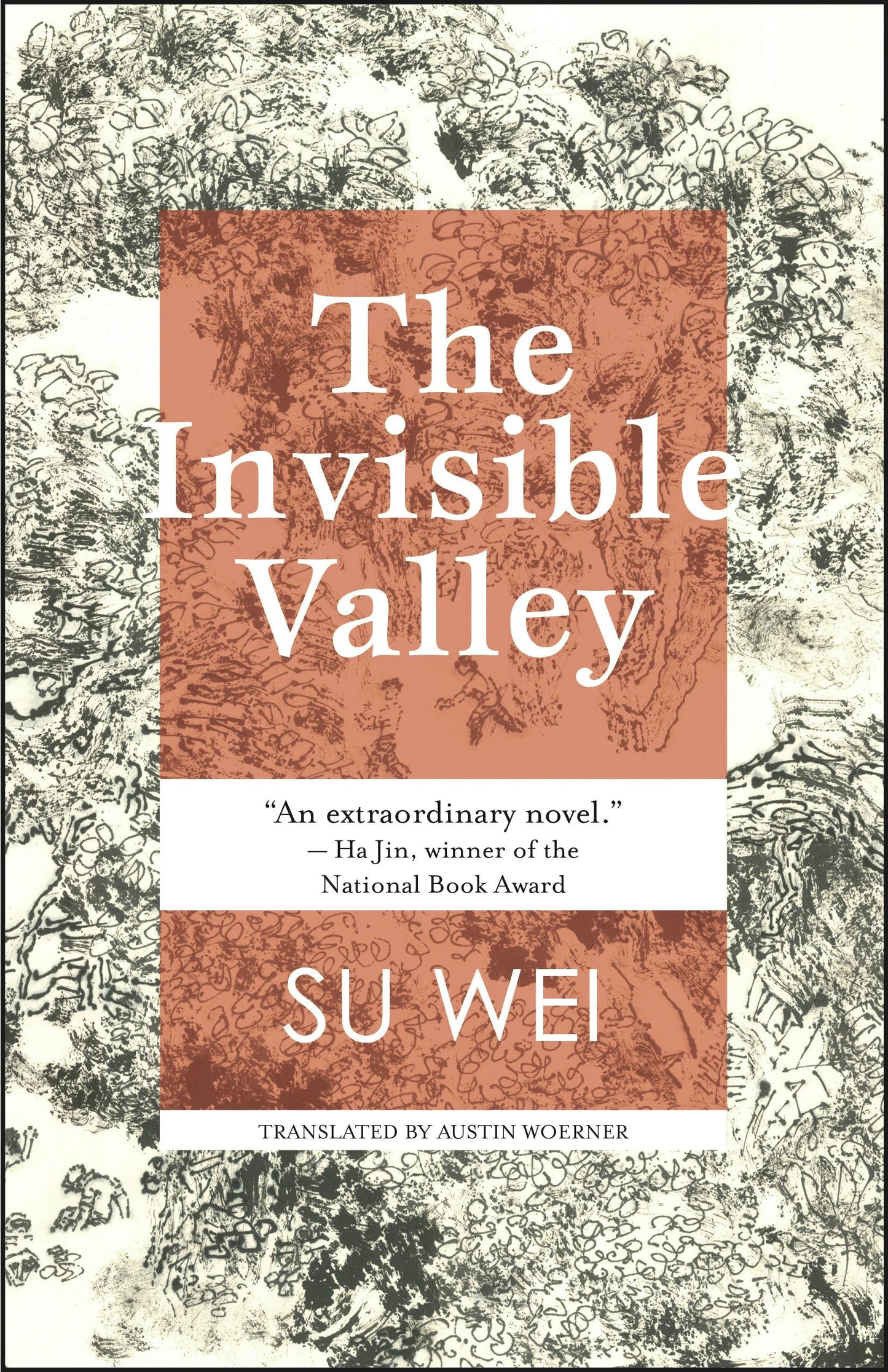 Book cover image for The Invisible Valley ISBN: 9781618731456