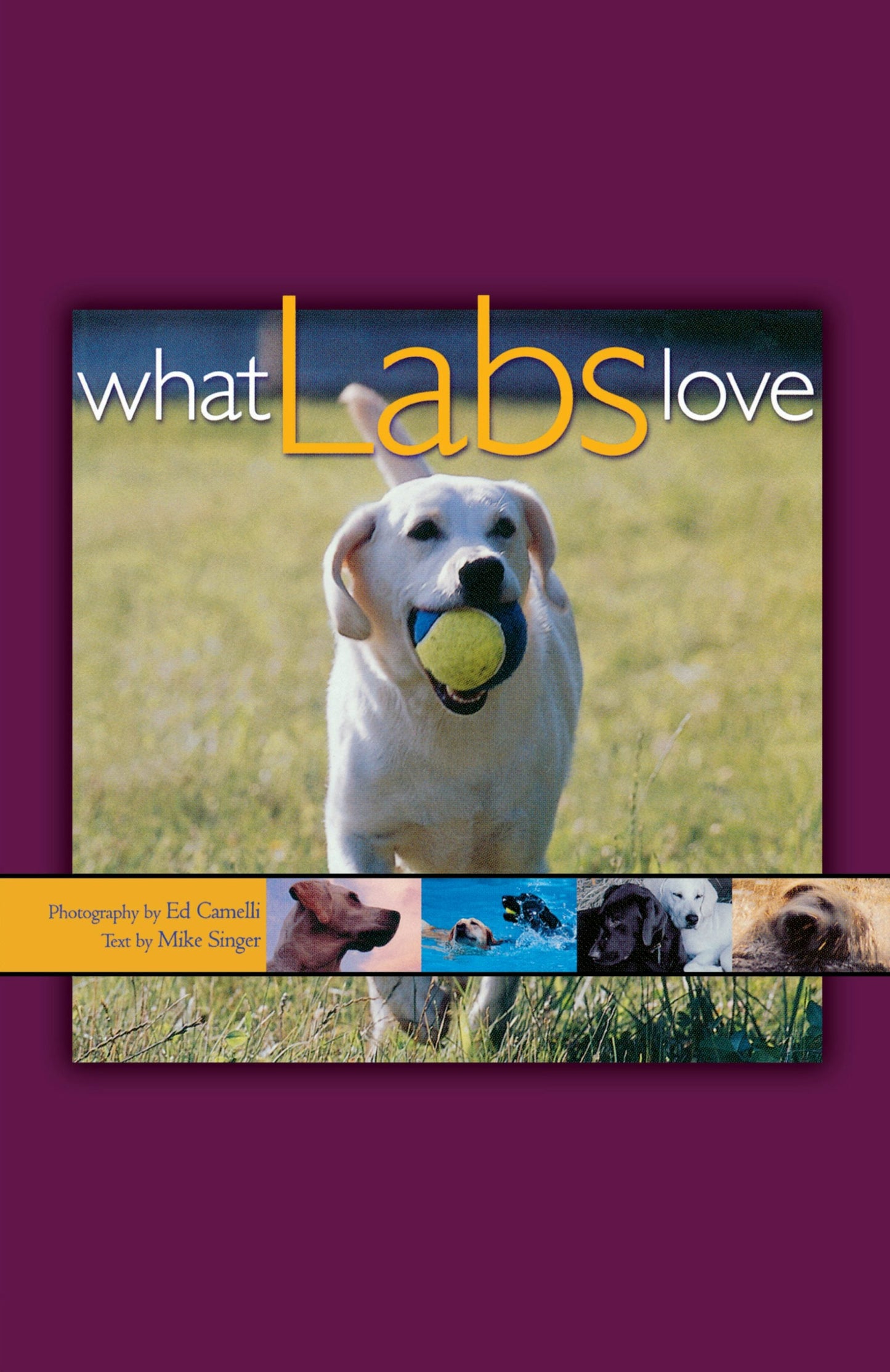 Book cover image for What Labs Love ISBN: 9781620457252