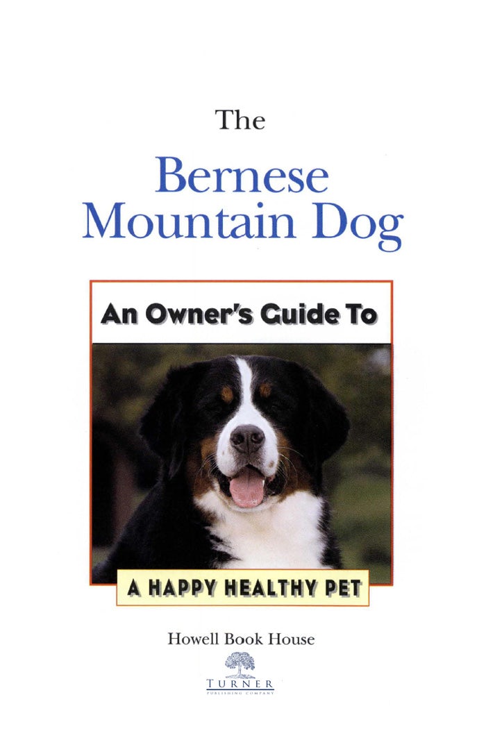 Book cover image for Bernese Mountain Dog ISBN: 9781620457634