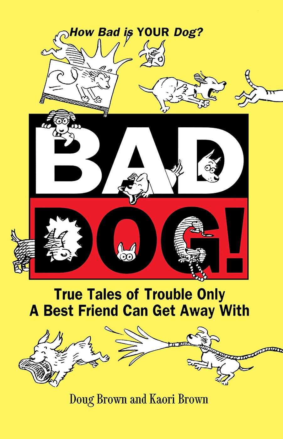 Book cover image for Bad Dog! ISBN: 9781620457641