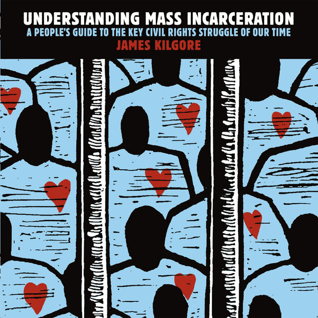 Cover image for Understanding Mass Incarceration, isbn: 9781620970676