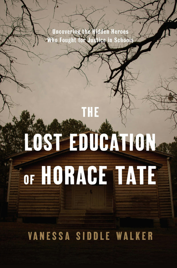 Cover image for The Lost Education of Horace Tate, isbn: 9781620971055