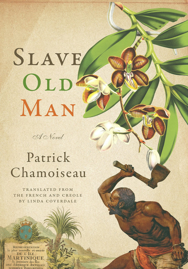 Cover image for Slave Old Man, isbn: 9781620972953