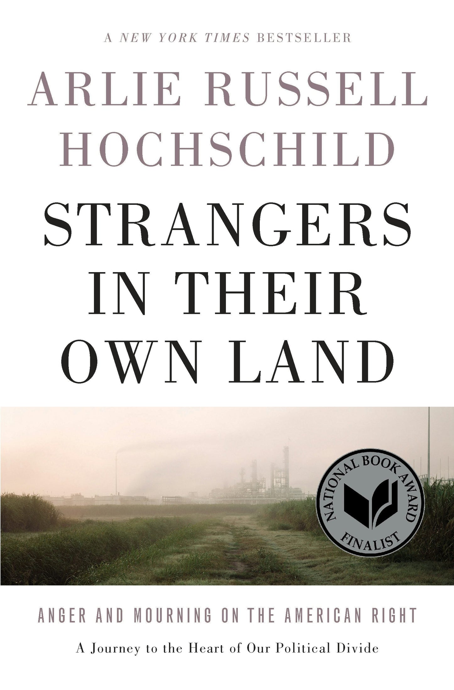 Book cover image for Strangers in Their Own Land ISBN: 9781620973981