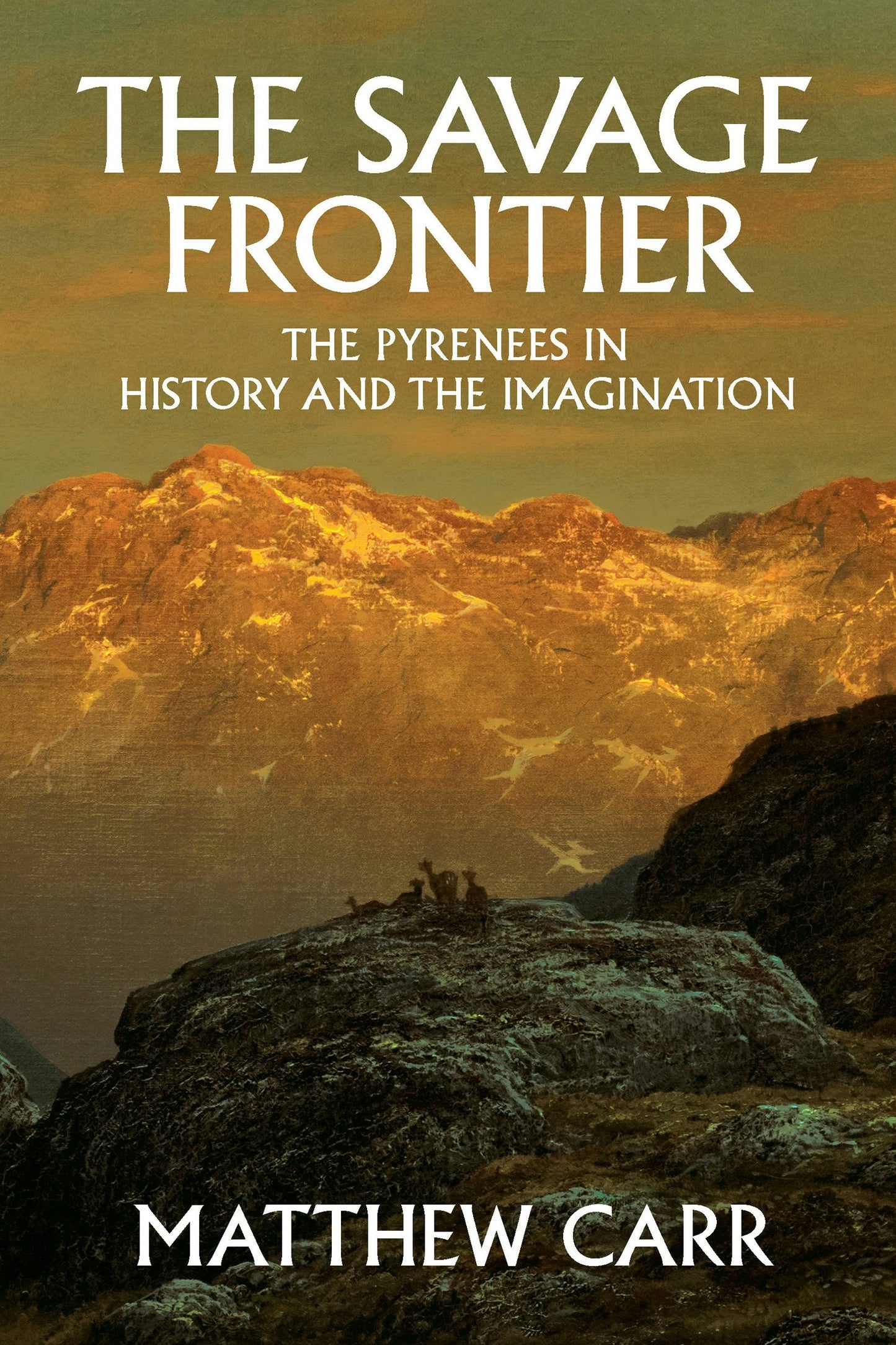 Book cover image for The Savage Frontier ISBN: 9781620974285