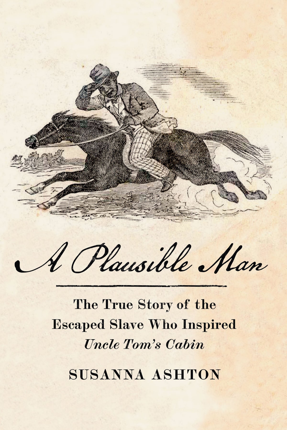 Cover image for A Plausible Man ISBN 9781620978191