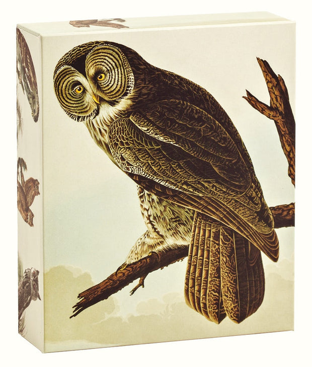 Cover image for teNeues - QuickNotes: Audubon Owls, Notecards, 20 Full Color Notecards, 20 Classic White Envelopes, 4 Designs, 5 Cards each Design, Keepsake Box, Magnetic Closure, isbn: 9781623258894