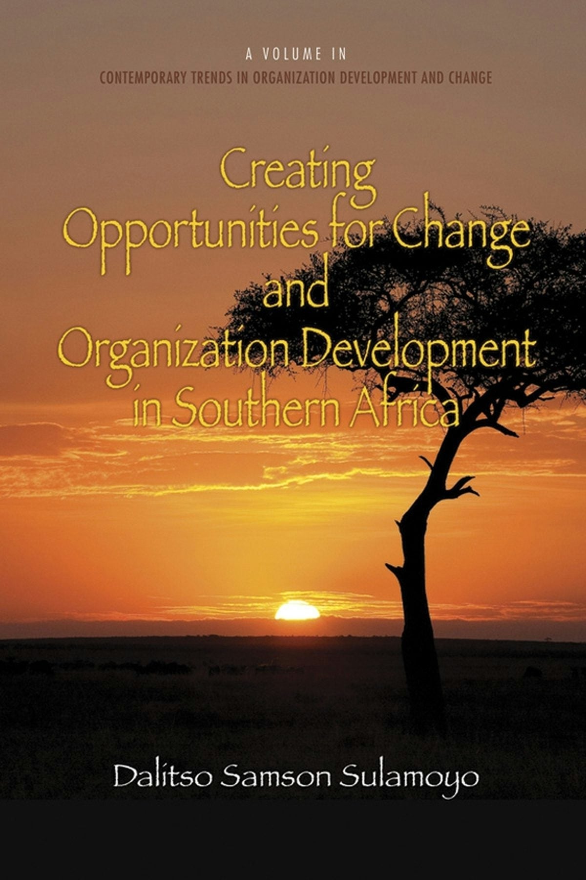 Book cover image for Creating Opportunities for Change and Organization Development in Southern Africa ISBN: 9781623960315