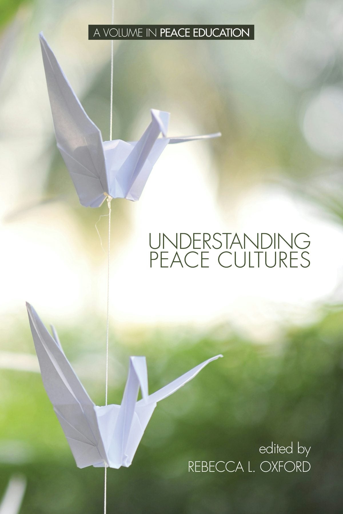 Book cover image for Understanding Peace Cultures ISBN: 9781623965068