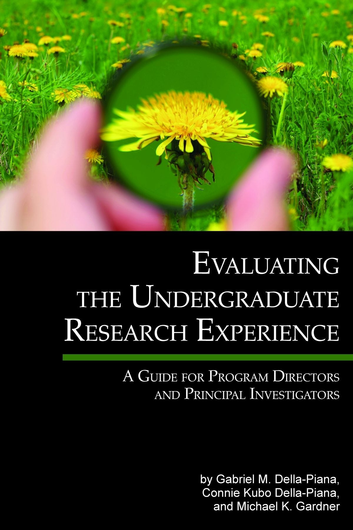 Book cover image for Evaluating the Undergraduate Research Experience ISBN: 9781623965419