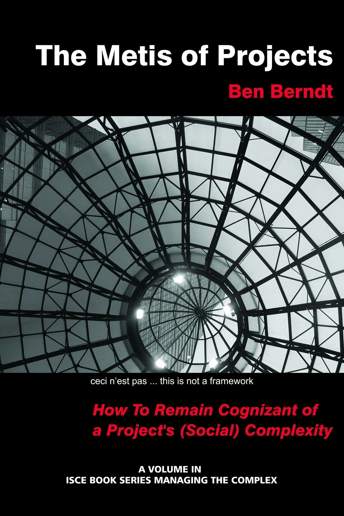 Book cover image for The Metis of Projects ISBN: 9781623967352