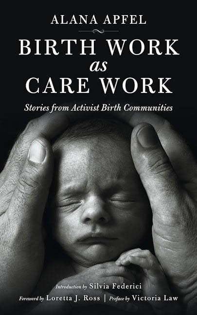 Book cover image for Birth Work as Care Work ISBN: 9781629631516