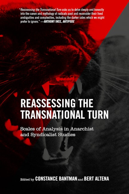 Book cover image for Reassessing the Transnational Turn ISBN: 9781629633916