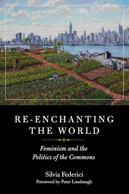 Book cover image for Re-enchanting the World ISBN: 9781629635699