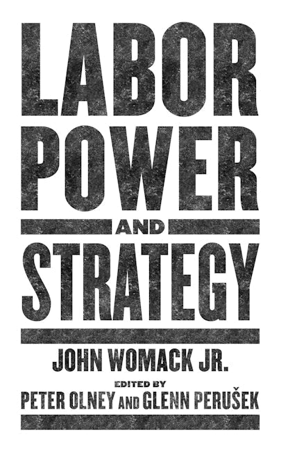 Book cover image for Labor Power and Strategy ISBN: 9781629639741