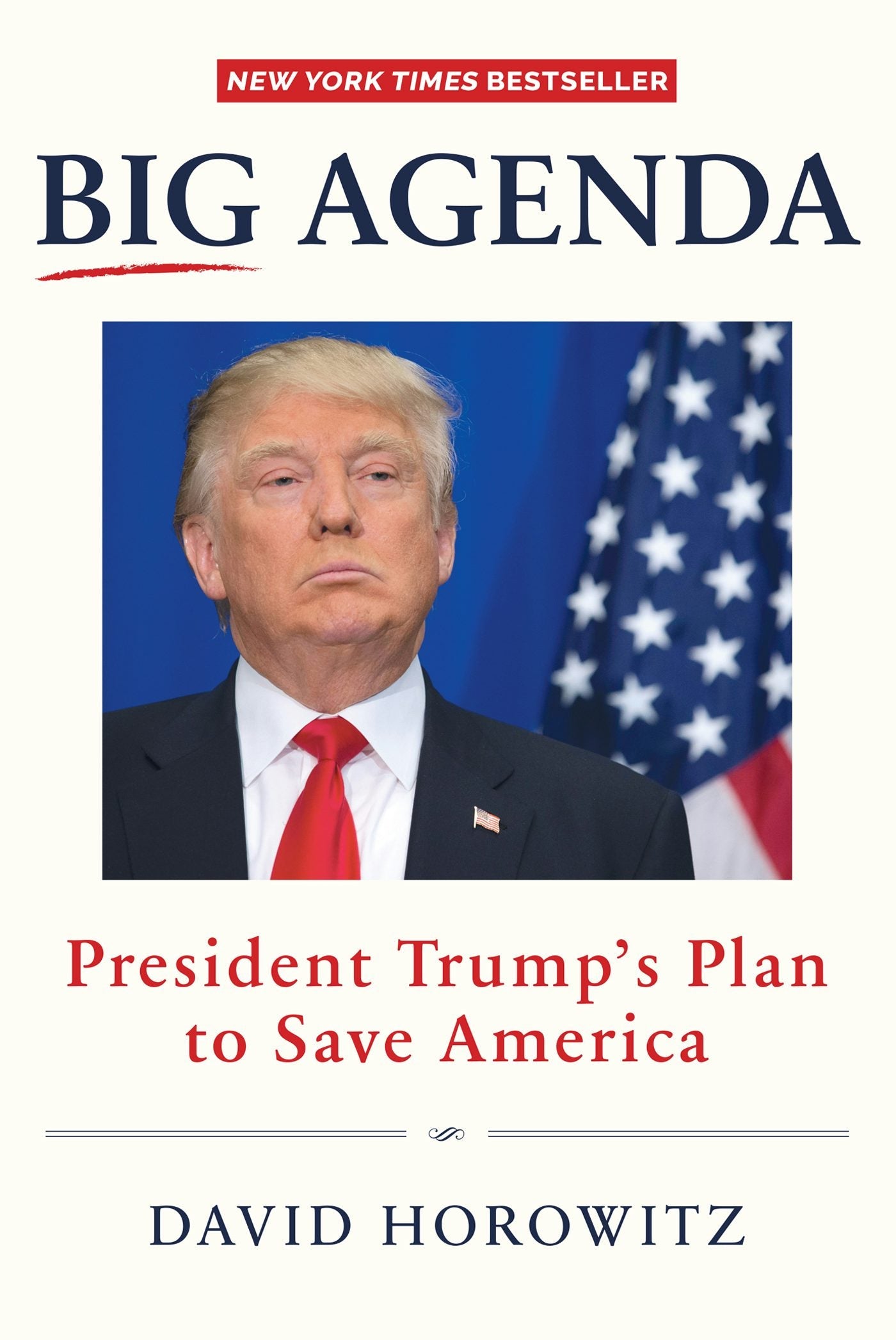 Book cover image for Big Agenda ISBN: 9781630060886