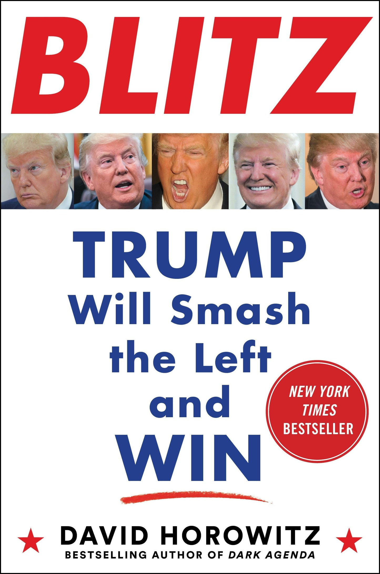 Book cover image for Blitz ISBN: 9781630061395