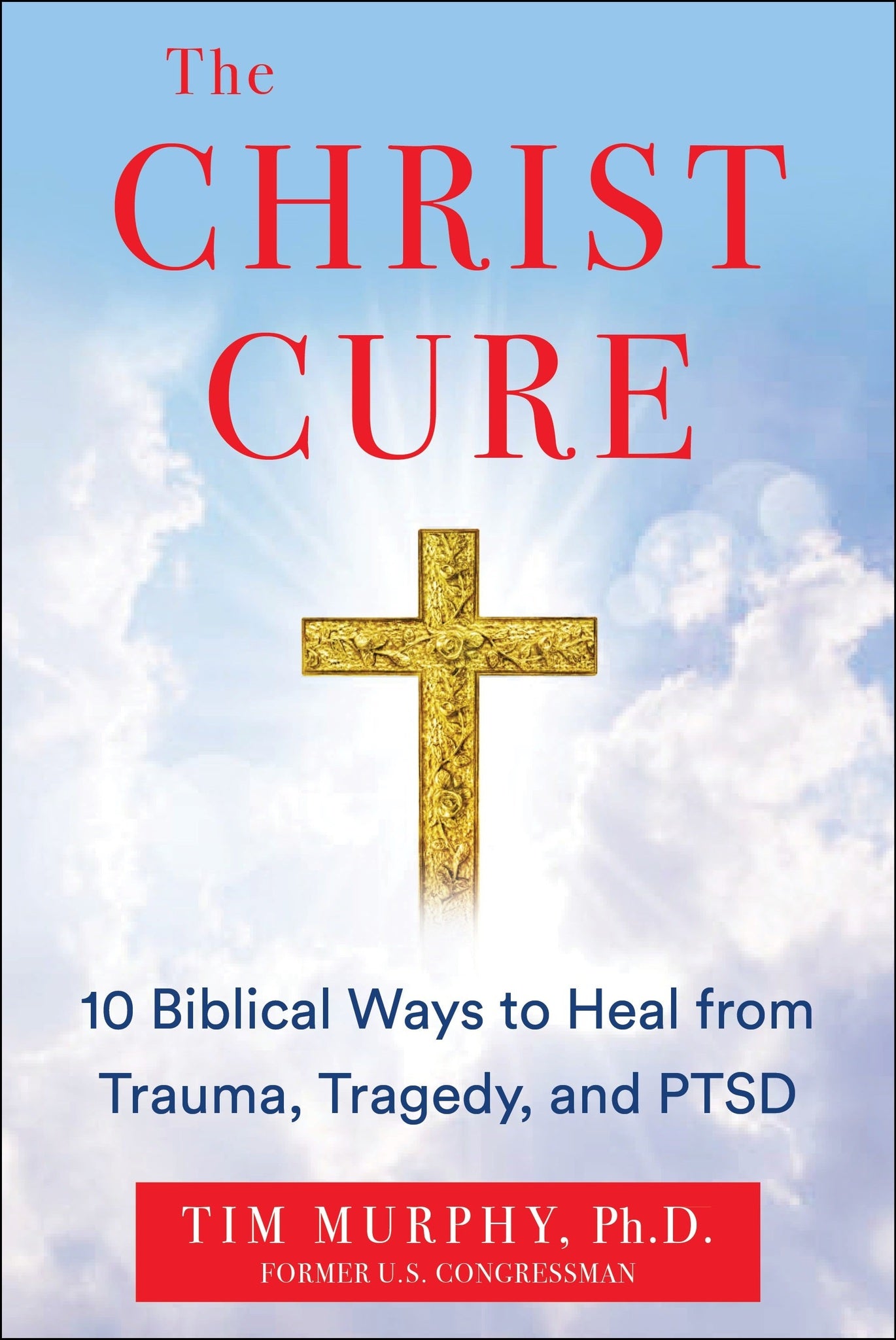 Cover image for The Christ Cure ISBN 9781630062392