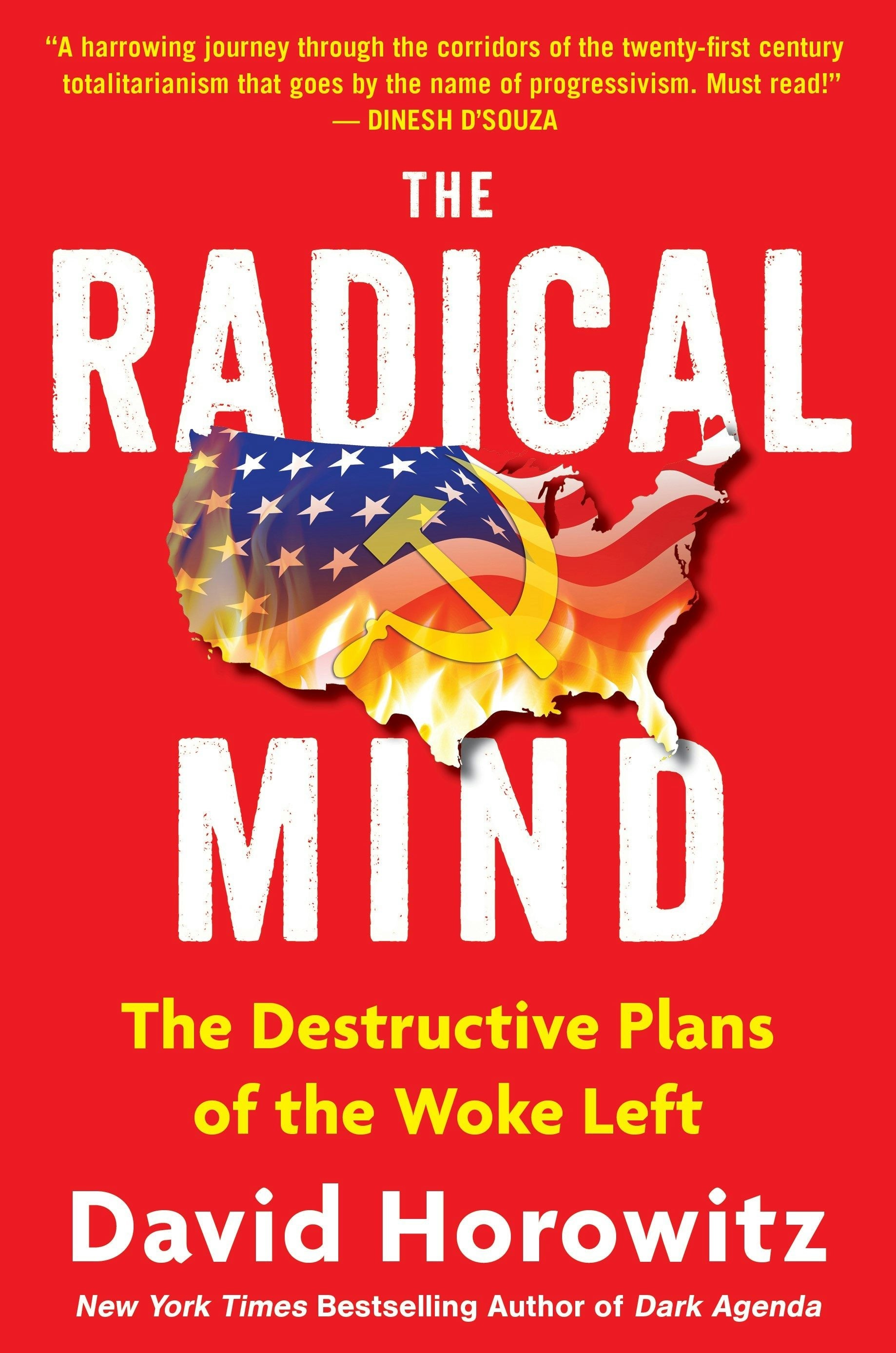 Book cover image for The Radical Mind ISBN: 9781630062682