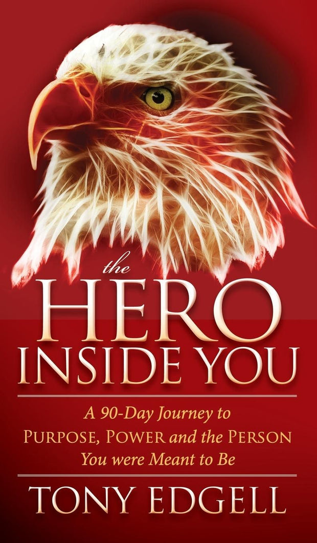 Cover image for The Hero Inside You, isbn: 9781630470593