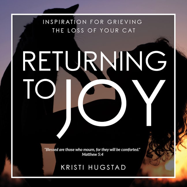 Book cover image for Returning to Joy ISBN: 9781631954214