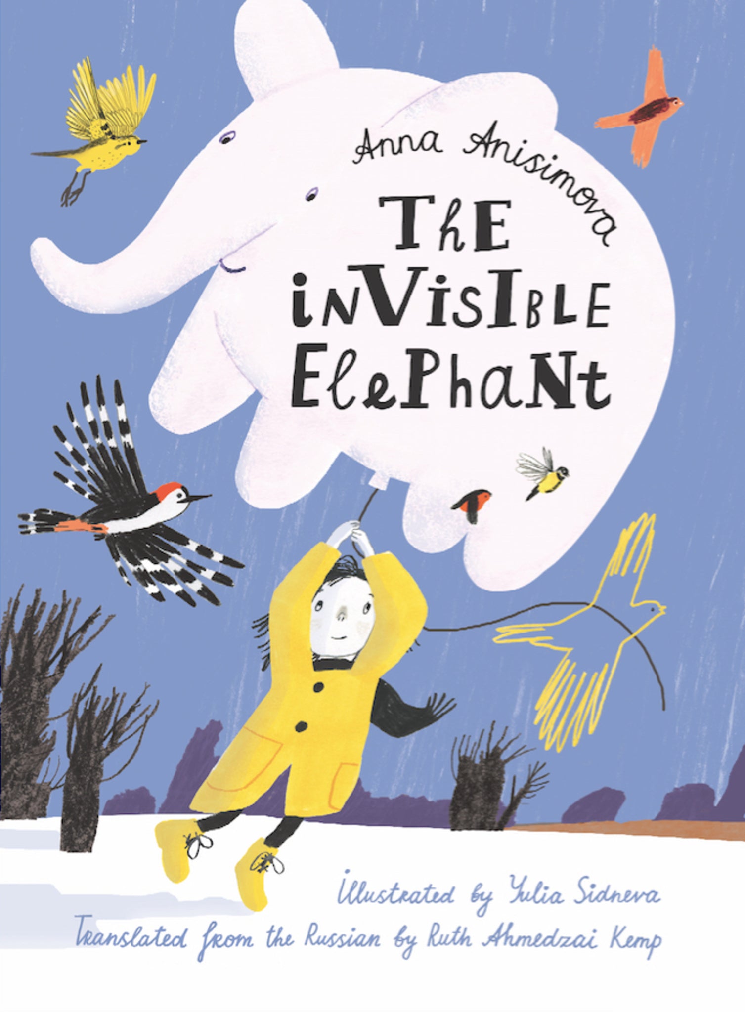 Cover image for The Invisible Elephant ISBN 9781632063243