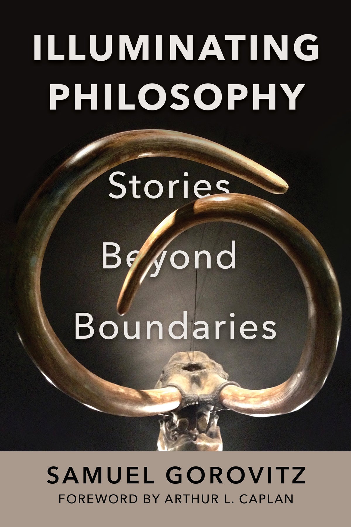 Cover image for Illuminating Philosophy ISBN 9781632261298