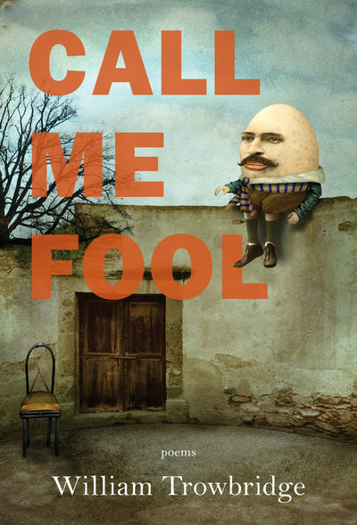 Cover image for Call Me Fool, isbn: 9781636280813