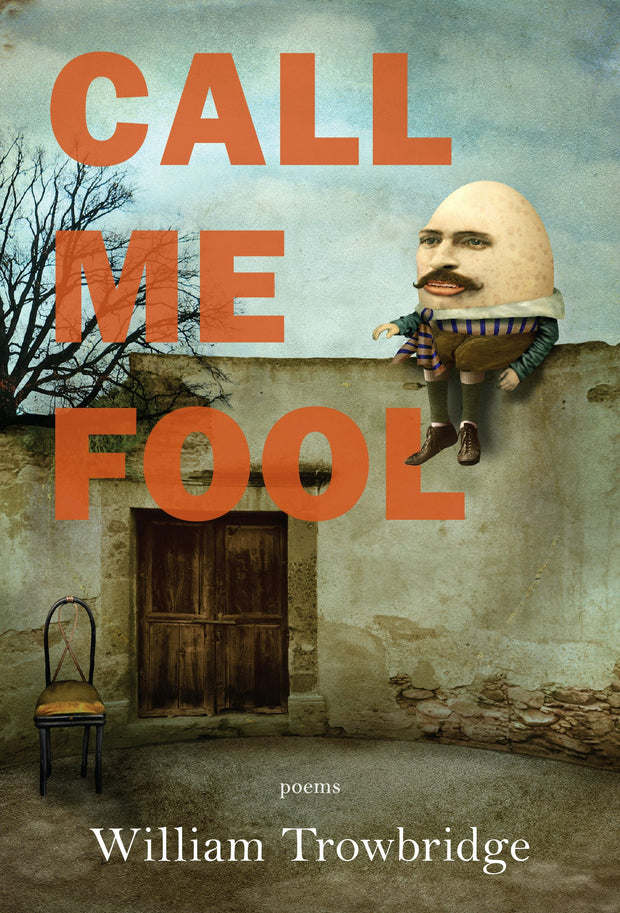 Cover image for Call Me Fool, isbn: 9781636280813