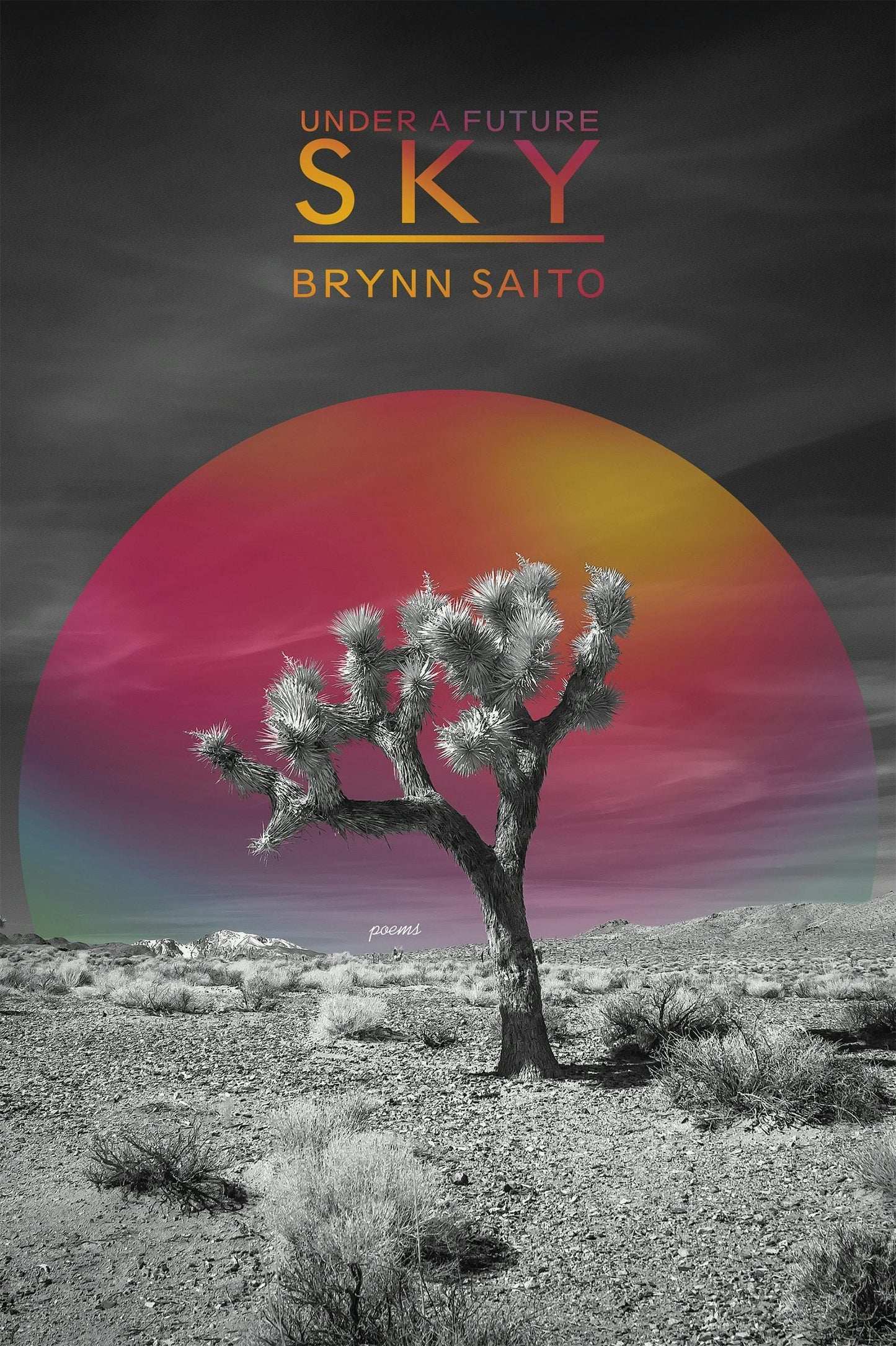 Book cover image for Under a Future Sky ISBN: 9781636281087