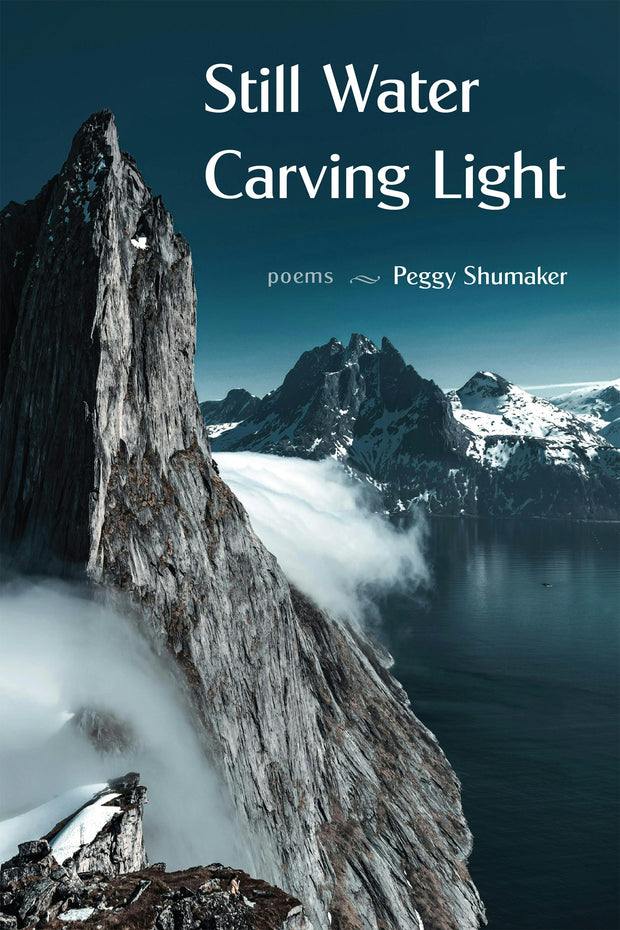 Cover image for Still Water Carving Light, isbn: 9781636281698