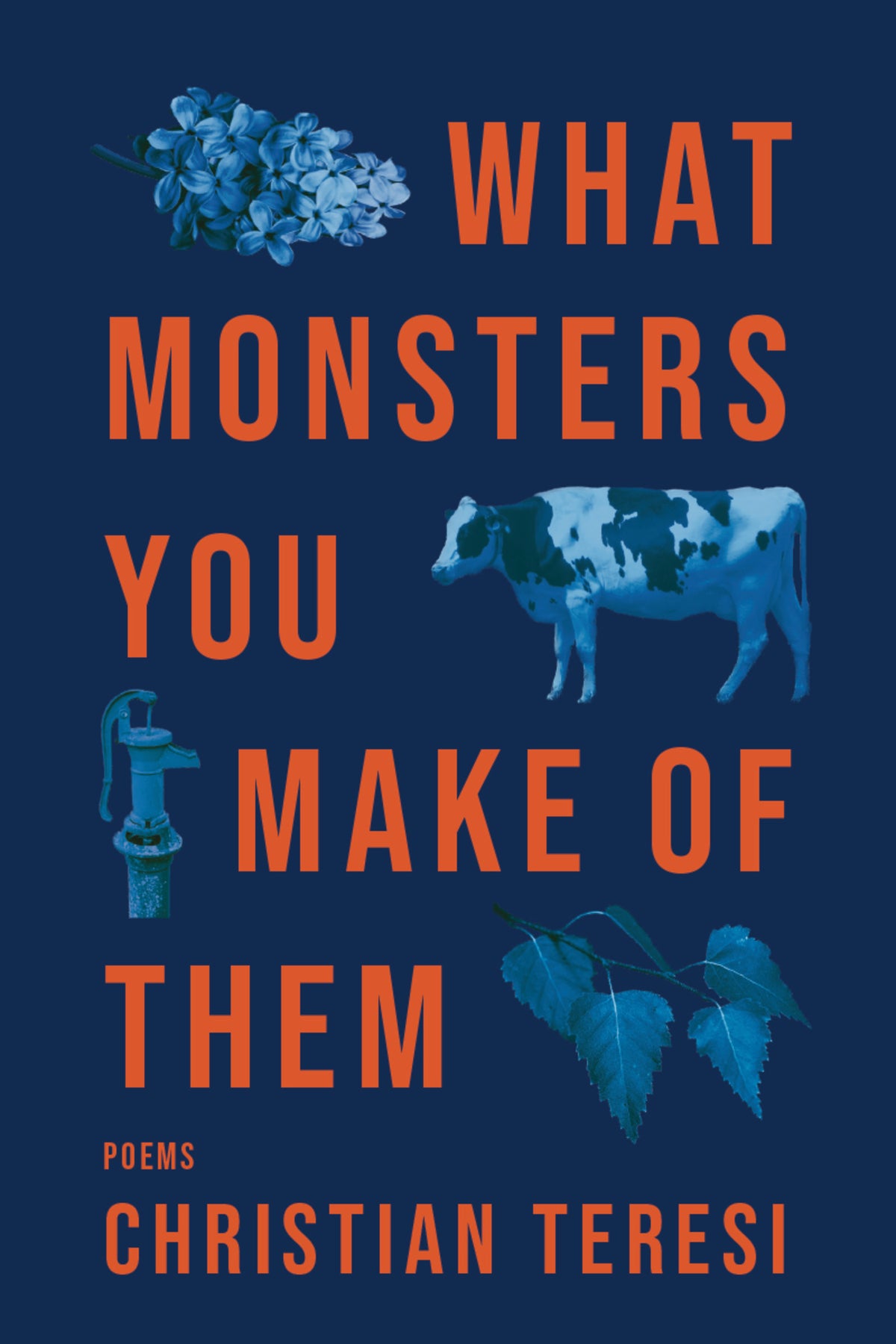 Cover image for What Monsters You Make of Them ISBN 9781636281704