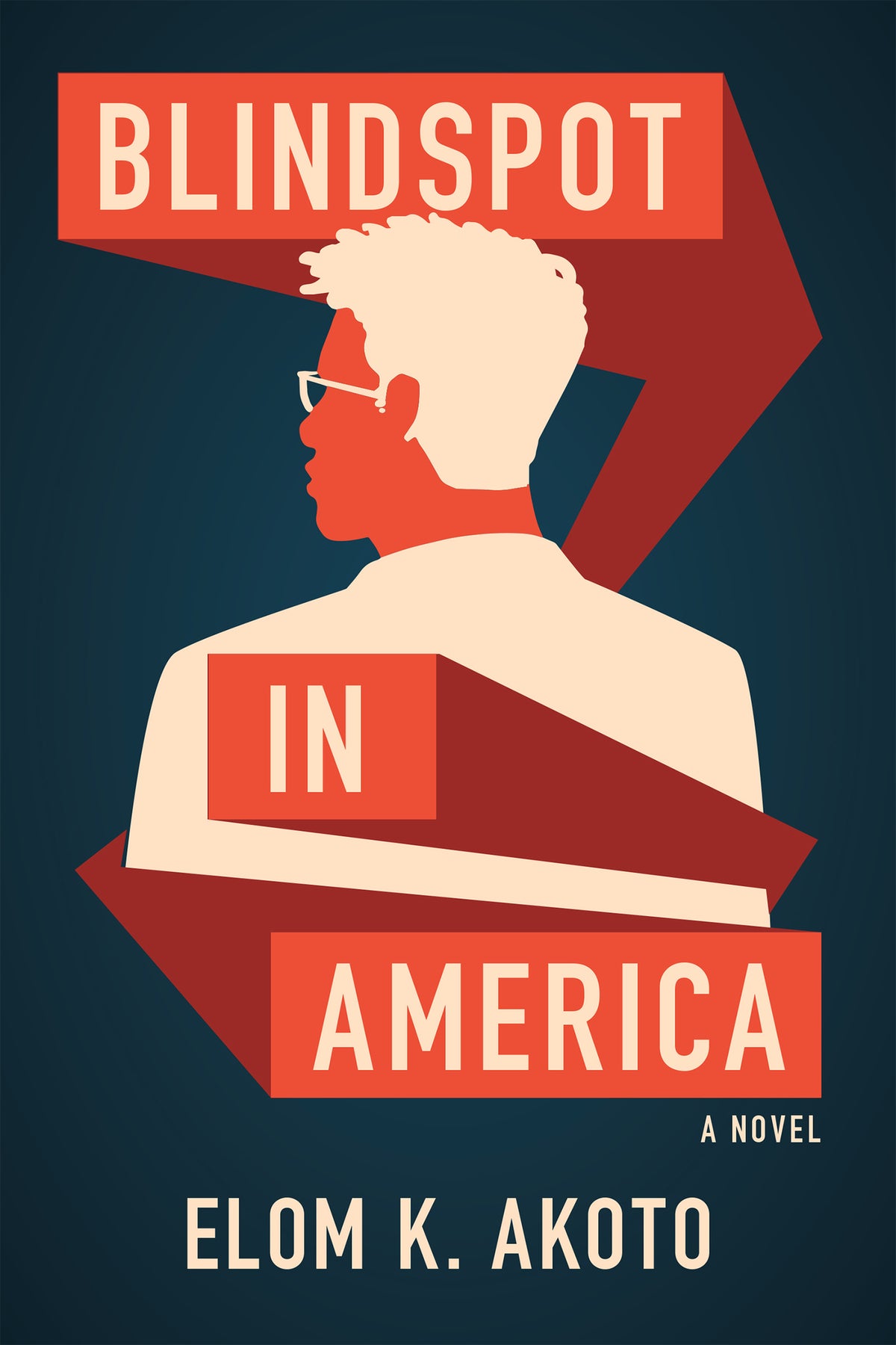 Cover image for Blindspot in America ISBN 9781636281834