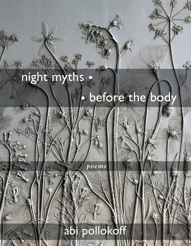Cover image for night myths • • before the body, isbn: 9781636281988