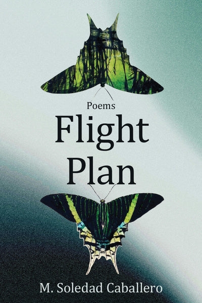 Cover image for Flight Plan, isbn: 9781636282534