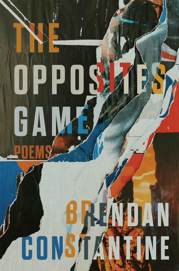 Cover image for The Opposites Game, isbn: 9781636283661