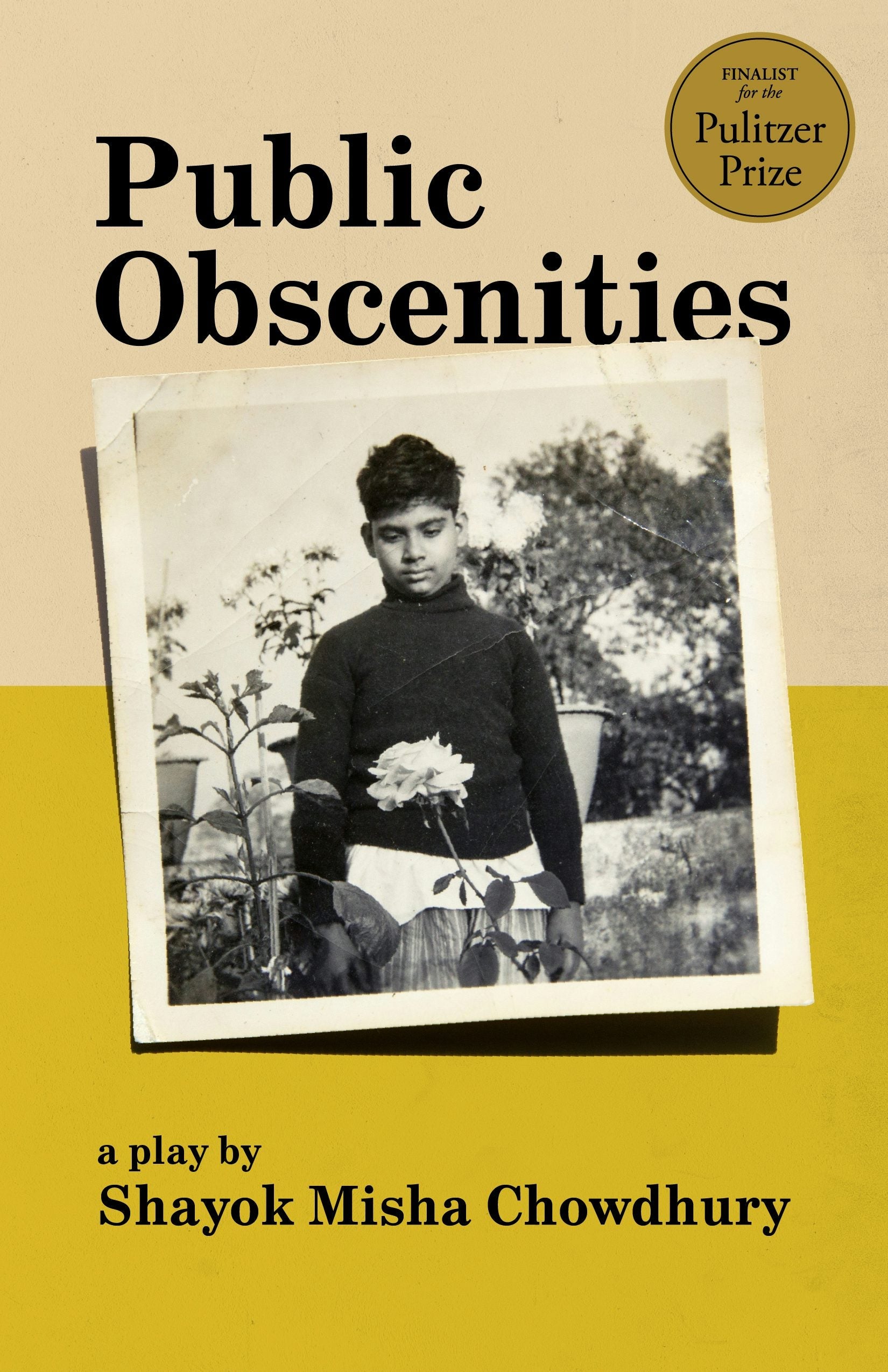 Book cover image for Public Obscenities ISBN: 9781636702001