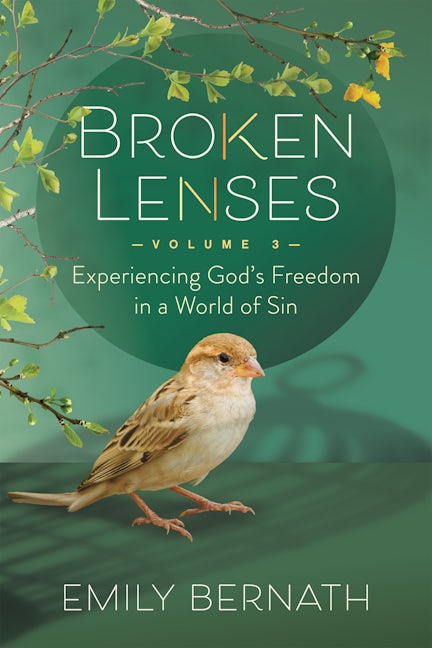 Book cover image for Broken Lenses Volume 3 ISBN: 9781636981130