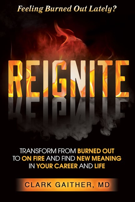 Book cover image for REIGNITE ISBN: 9781636981314
